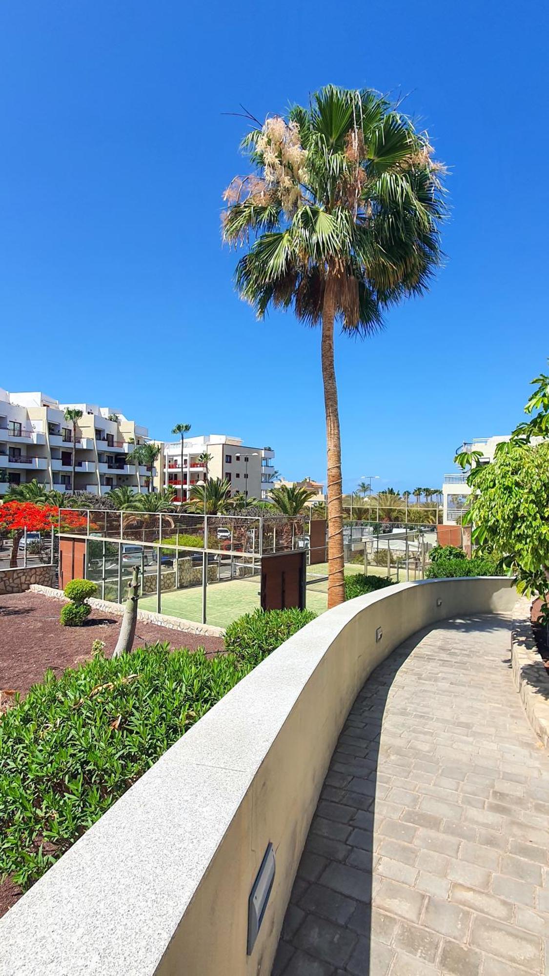 Terraza Sea & Sun Apartment Палм-мар Екстериор снимка